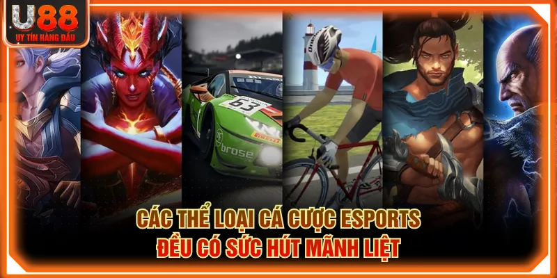 Các thể loại cá cược Esports đều có sức hút mãnh liệt