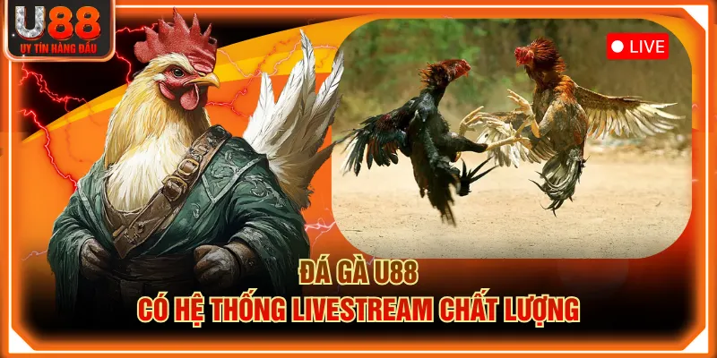 Đá gà U88 có hệ thống livestream chất lượng
