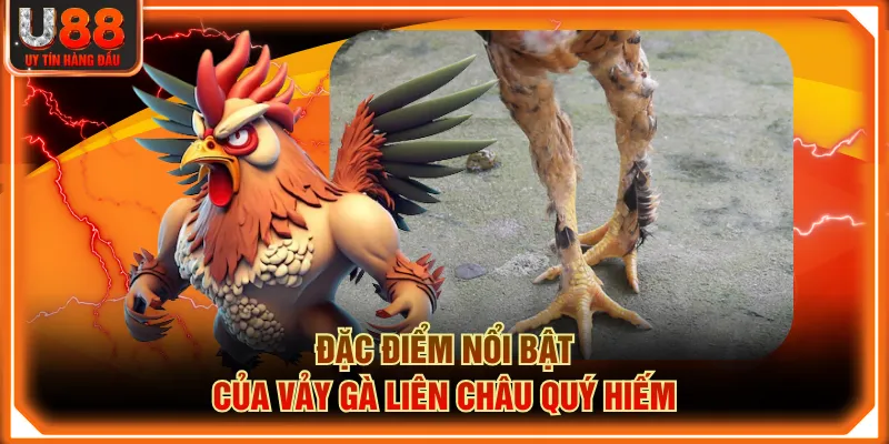 Đặc điểm nổi bật của Vảy Gà Liên Châu quý hiếm