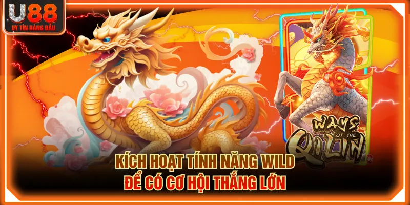 Kích hoạt tính năng Wild để có cơ hội thắng lớn
