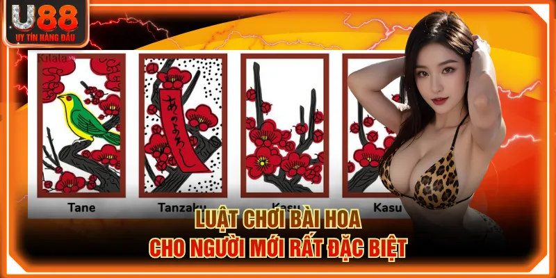 Luật chơi Bài Hoa cho người mới rất đặc biệt