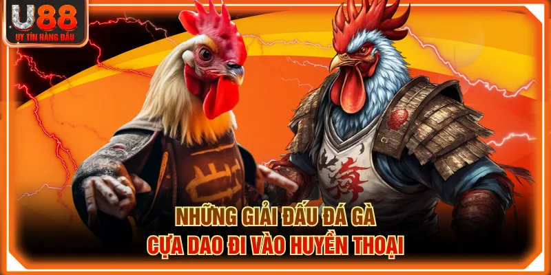 Những giải đấu đá gà cựa dao đi vào huyền thoại