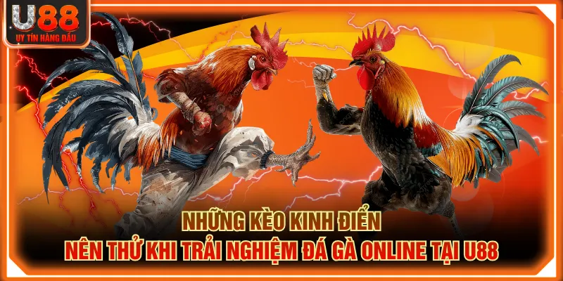 Những kèo kinh điển nên thử khi trải nghiệm đá gà online tại U88