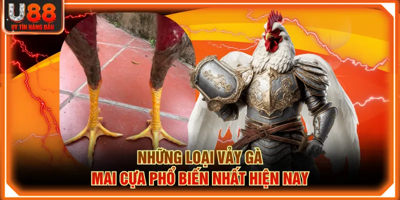 Những loại Vảy Gà Mai Cựa phổ biến nhất hiện nay