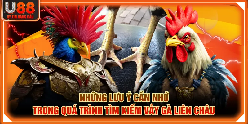 Những lưu ý cần nhớ trong quá trình tìm kiếm Vảy Gà Liên Châu