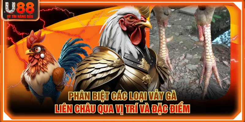 Phân biệt các loại Vảy Gà Liên Châu qua vị trí và đặc điểm