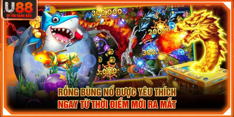 Rồng Bùng Nổ được yêu thích ngay từ thời điểm mới ra mắt