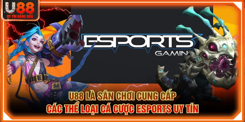 U88 là sân chơi cung cấp các thể loại cá cược Esports uy tín