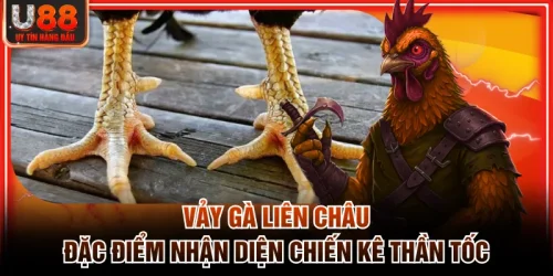 Vảy Gà Liên Châu