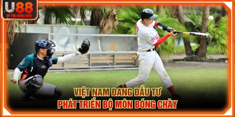 Việt Nam đang đầu tư phát triển bộ môn bóng chày